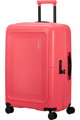 American Tourister Dashpop spinner 55 exp | Sugar Pink A490