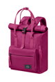 Deep Orchid E566 | American Tourister Urban Groove UG16